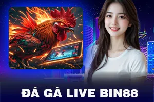 Đá Gà Live Bin88