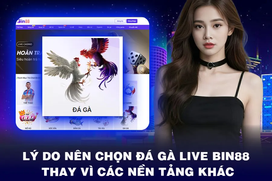Lý Do Nên Chọn Đá Gà Live Bin88 Thay Vì Các Nền Tảng Khác